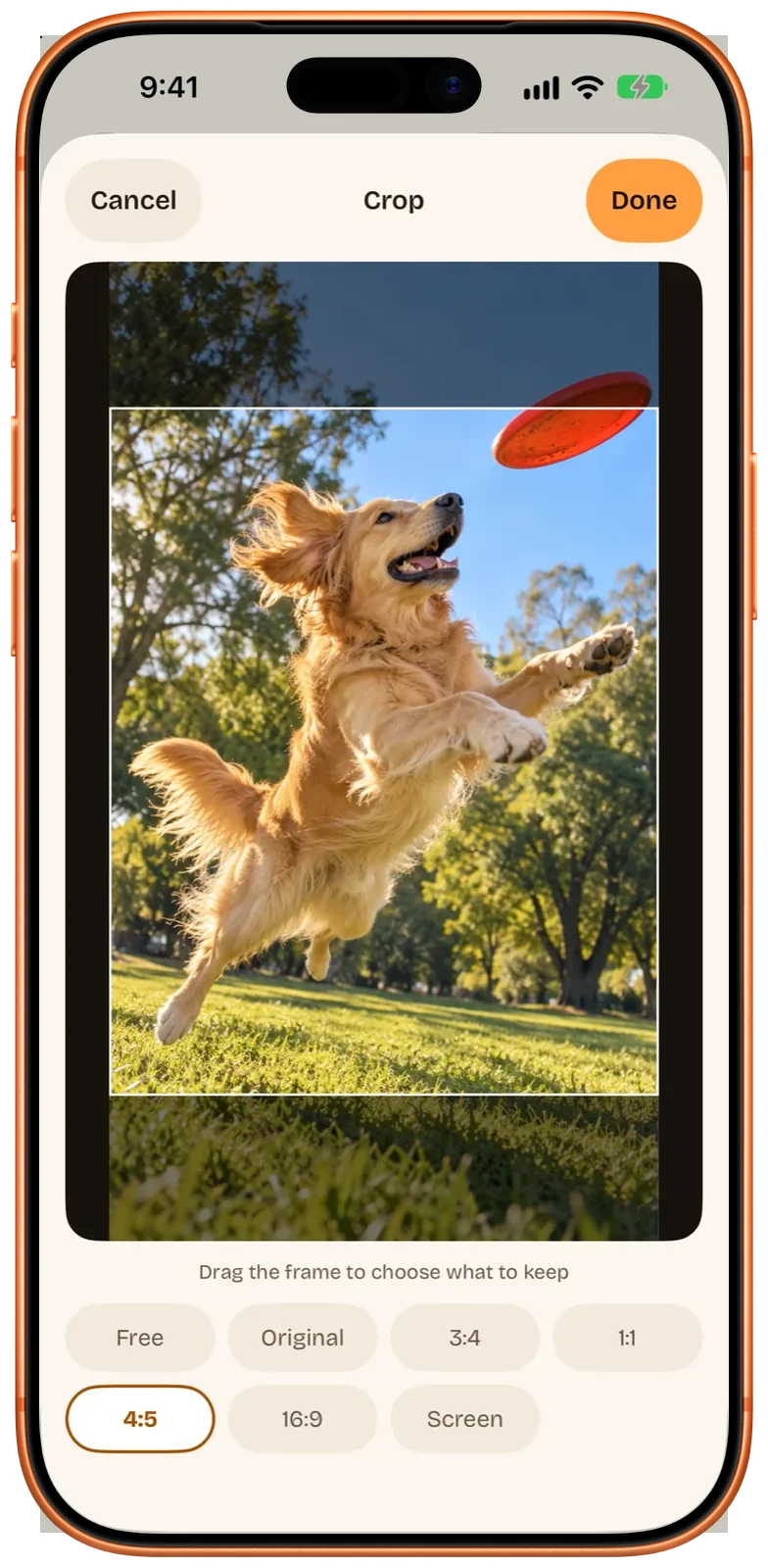 Beavery crop screen on iPhone with a 4:5 frame over a dog leaping for a frisbee and ratio buttons for Free, Original, 3:4, 1:1, 4:5, 16:9 and Screen