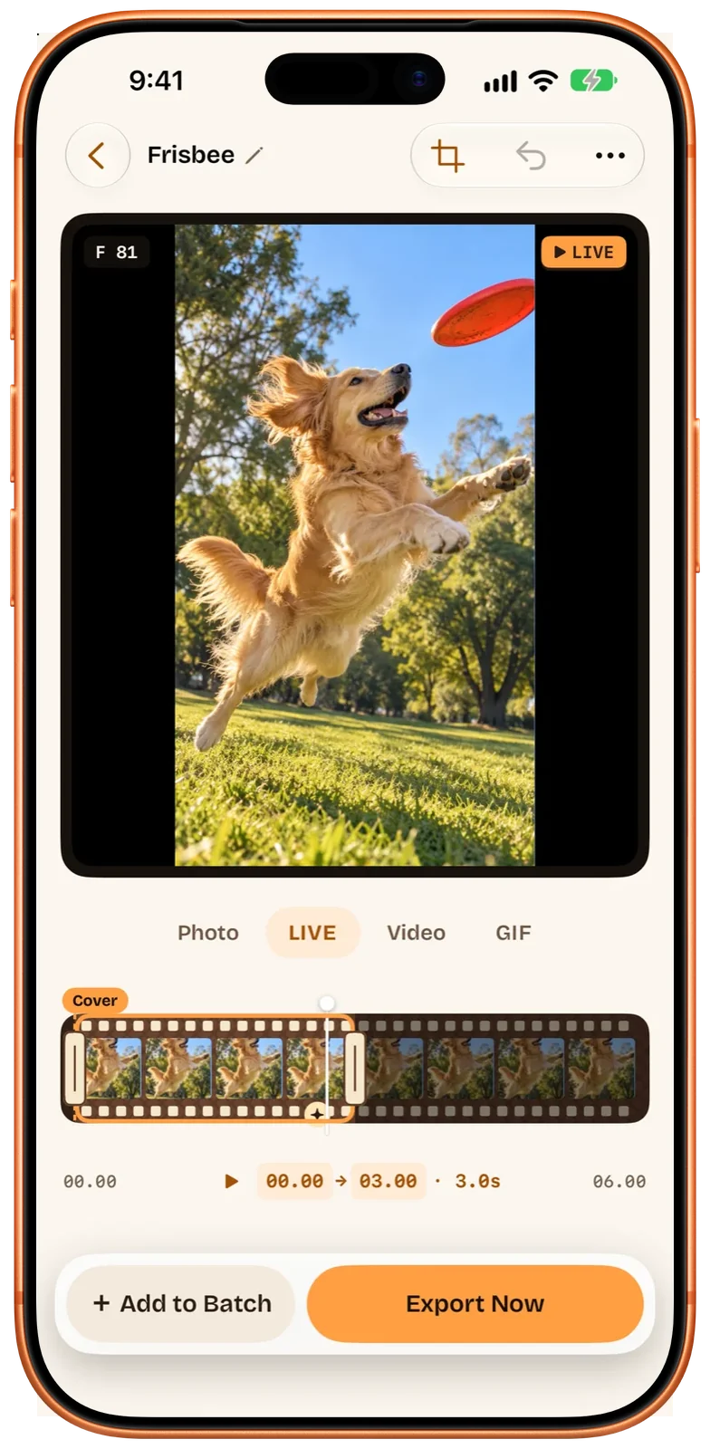 Interfaz en inglés: editor de Beavery en el iPhone, con LIVE seleccionado y el marcador Cover al inicio de la tira de fotogramas, bajo una foto de un perro cogiendo un frisbi