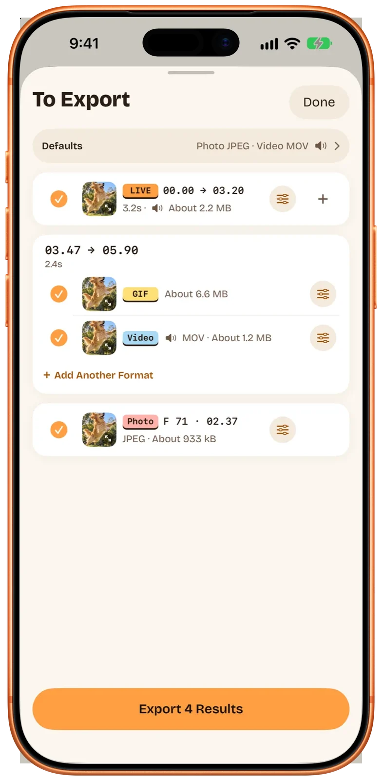 Die Liste „Zu exportieren“ auf dem iPhone (englische Oberfläche): ein Live Photo, ein GIF, ein Video und ein Foto aus einem Video, alle markiert, mit Export 4 Results