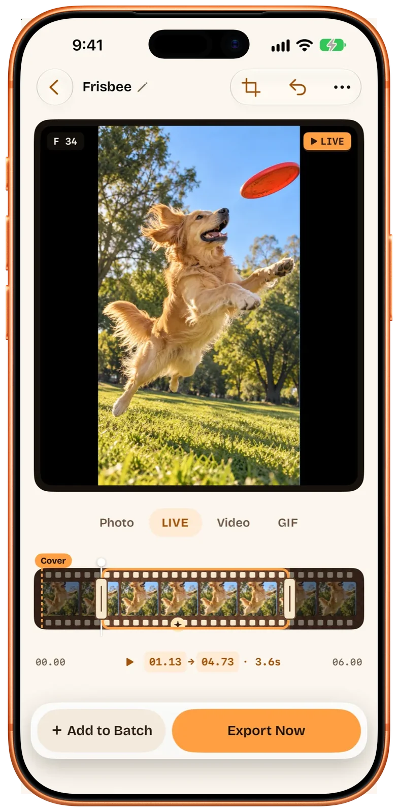 英語の画面。「LIVE」モードの編集画面。飛びかかる途中の犬、フィルムの選択範囲は 01.13 から 04.73 の 3.6 秒、「Cover」はまだクリップの先頭