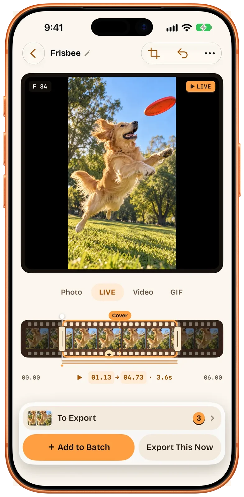Der Beavery-Editor auf dem iPhone im LIVE-Modus (englische Oberfläche): das Hundevideo mit Abschnitt und Titelbild auf der Film-Zeitleiste