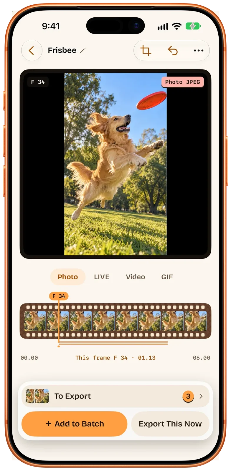 Der Beavery-Editor auf dem iPhone im Fotomodus (englische Oberfläche): ein Bild des Hundevideos zum Sichern als Foto gewählt