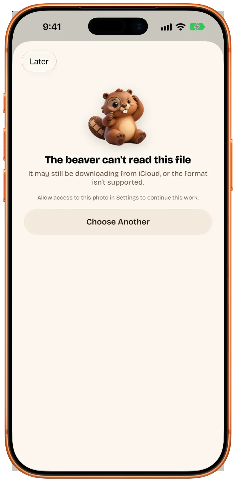 英語の画面。The beaver can't read this file と表示され、設定でこの写真へのアクセスを許可するよう求め、Choose Another ボタンがある